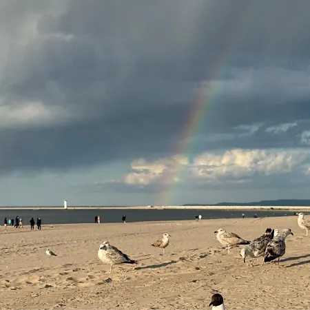 Z Widokiem - Visitopl Apartman *